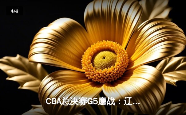 CBA总决赛G5鏖战：辽宁本钢加时险胜广东宏远 成功卫冕总冠军 - 4